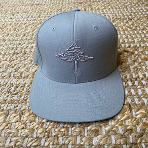 NWOT LRG Grey SnapBack Hat